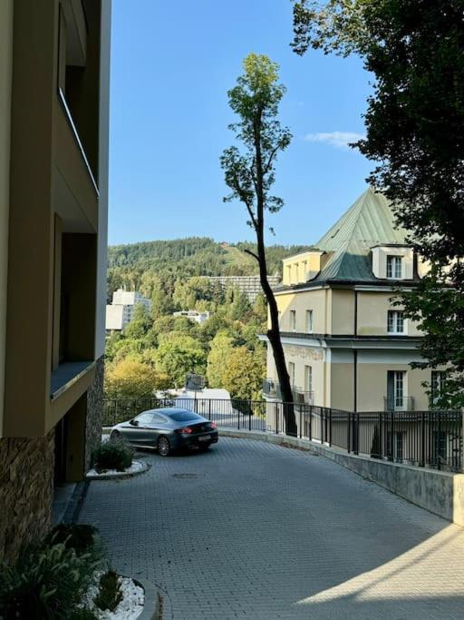 Art & High Studio Z Parkingiem Podziemnym Krynica-Zdrój Exterior foto
